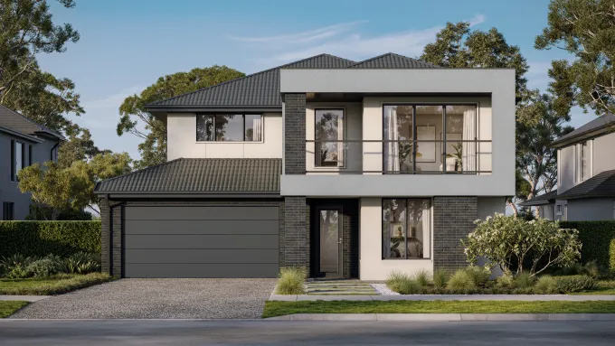 Lomandra 43