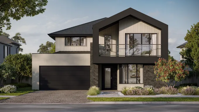 Lomandra 43