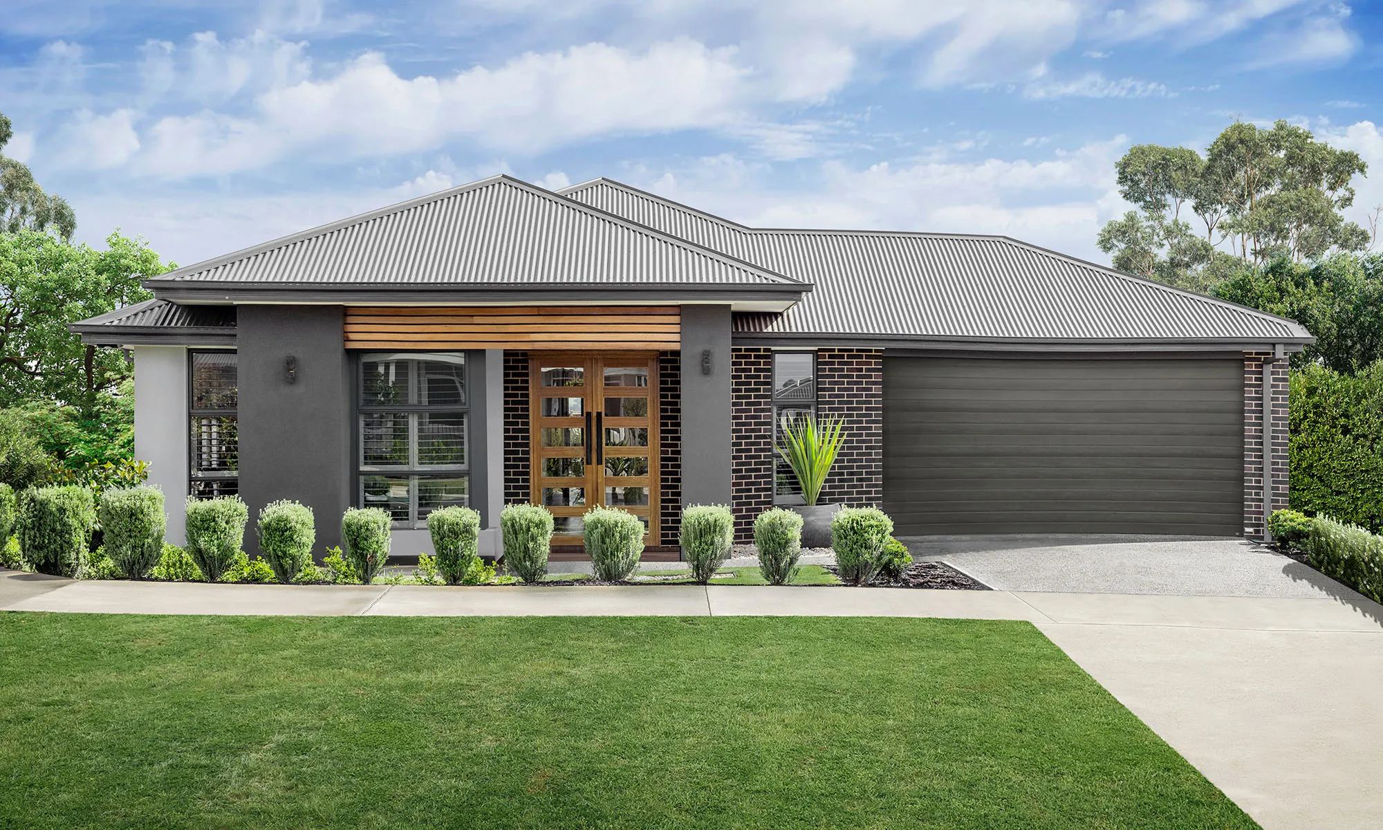 Garrett (Display Option)